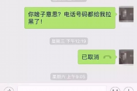 阳谷为什么选择专业追讨公司来处理您的债务纠纷？